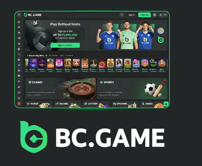 Ultimate Guide How to Download BC.Game App Easily